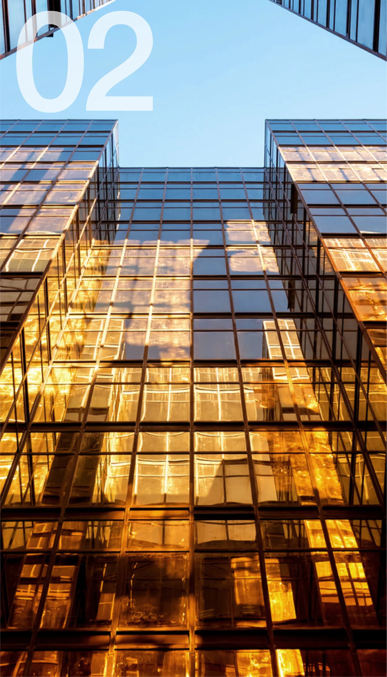 Market Entry & Local Activation